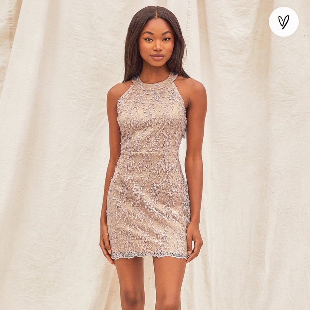 Lulu’s Dress: Blush Pink Embroidered Lace Dress